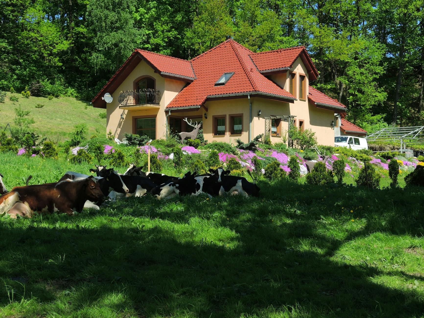 Malowniczy widok Górowa Iławeckiego w wiosennej scenerii, idealny na majówkowe świętowanie.